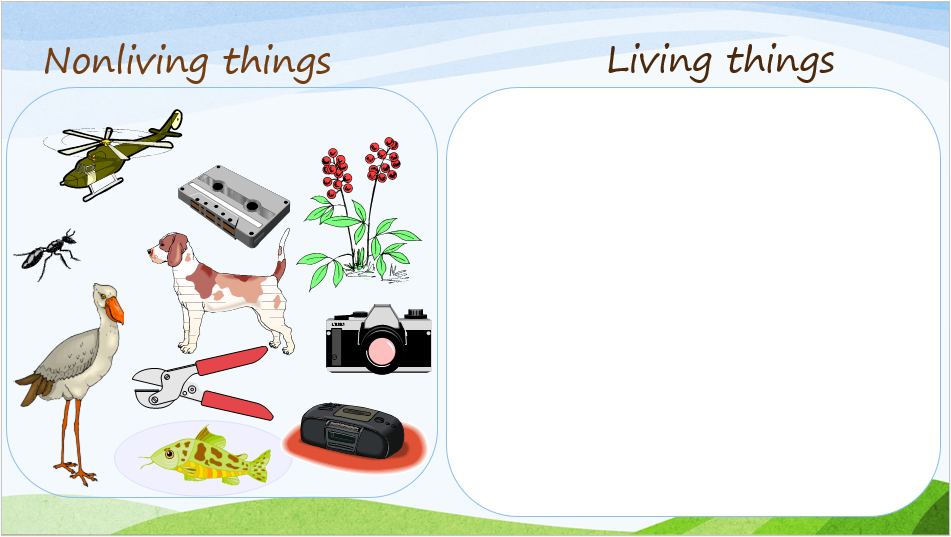 PowerPoint download on teaching about living and nonliving things